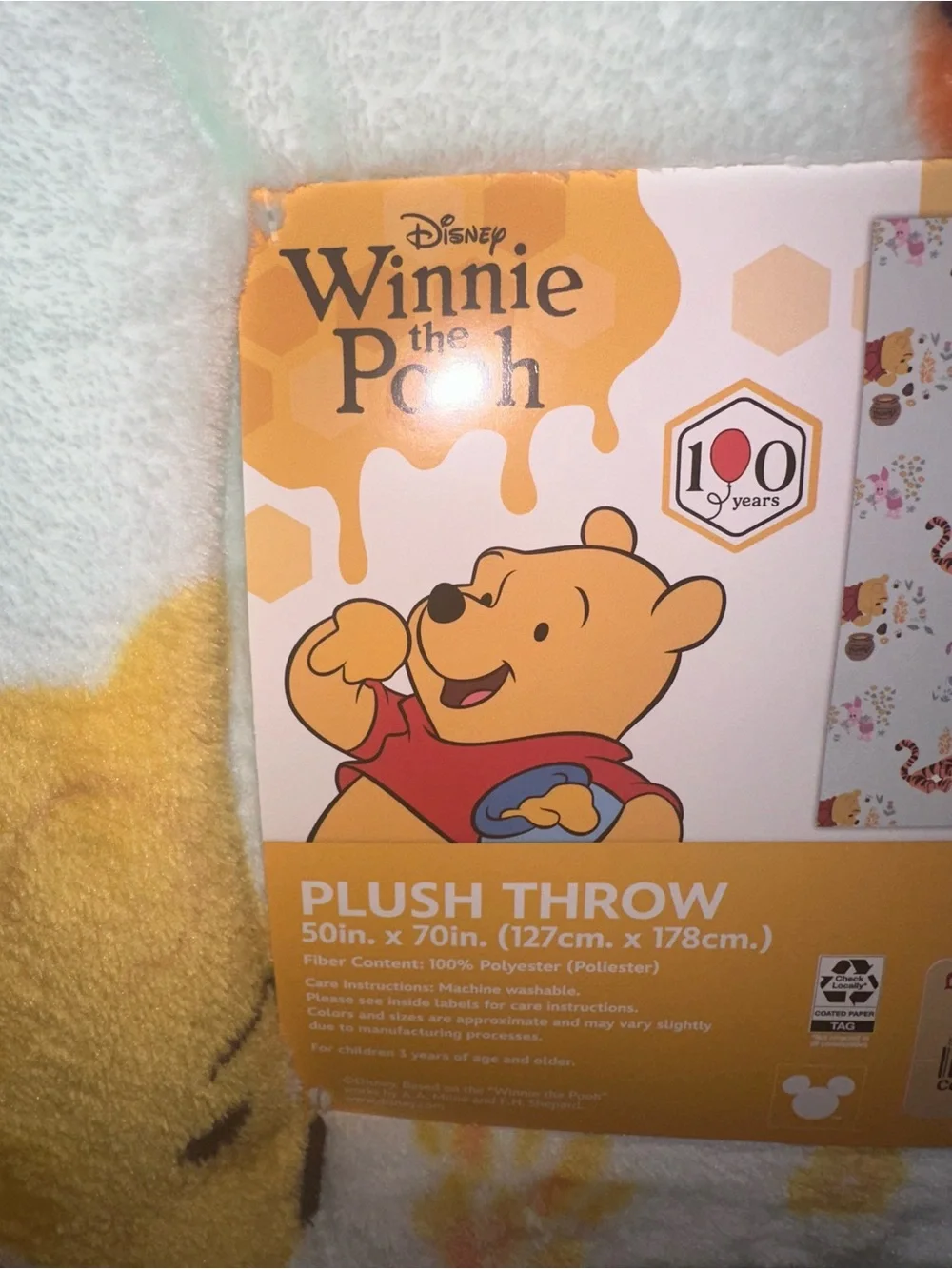 Disney Winnie the Pooh Pale Mint Plush Throw with Character Print